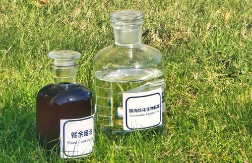 地(di)溝油(you)變身(shen)高性(xing)能(neng)航空(kong)燃料 國(guo)產(chan)大飛機(ji)試(shi)飛成(cheng)功背後的綠(lv)色(se)動力(li)革命(ming)